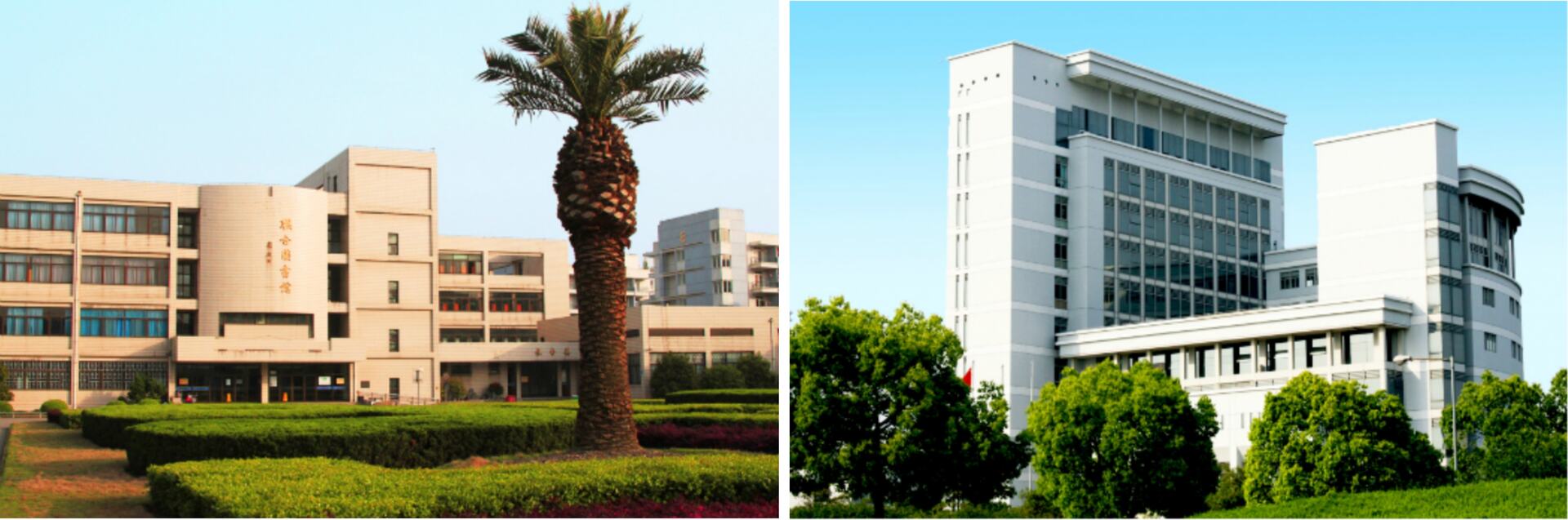 Shanhai University11
