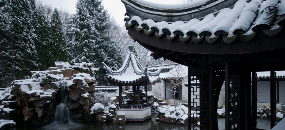 winter